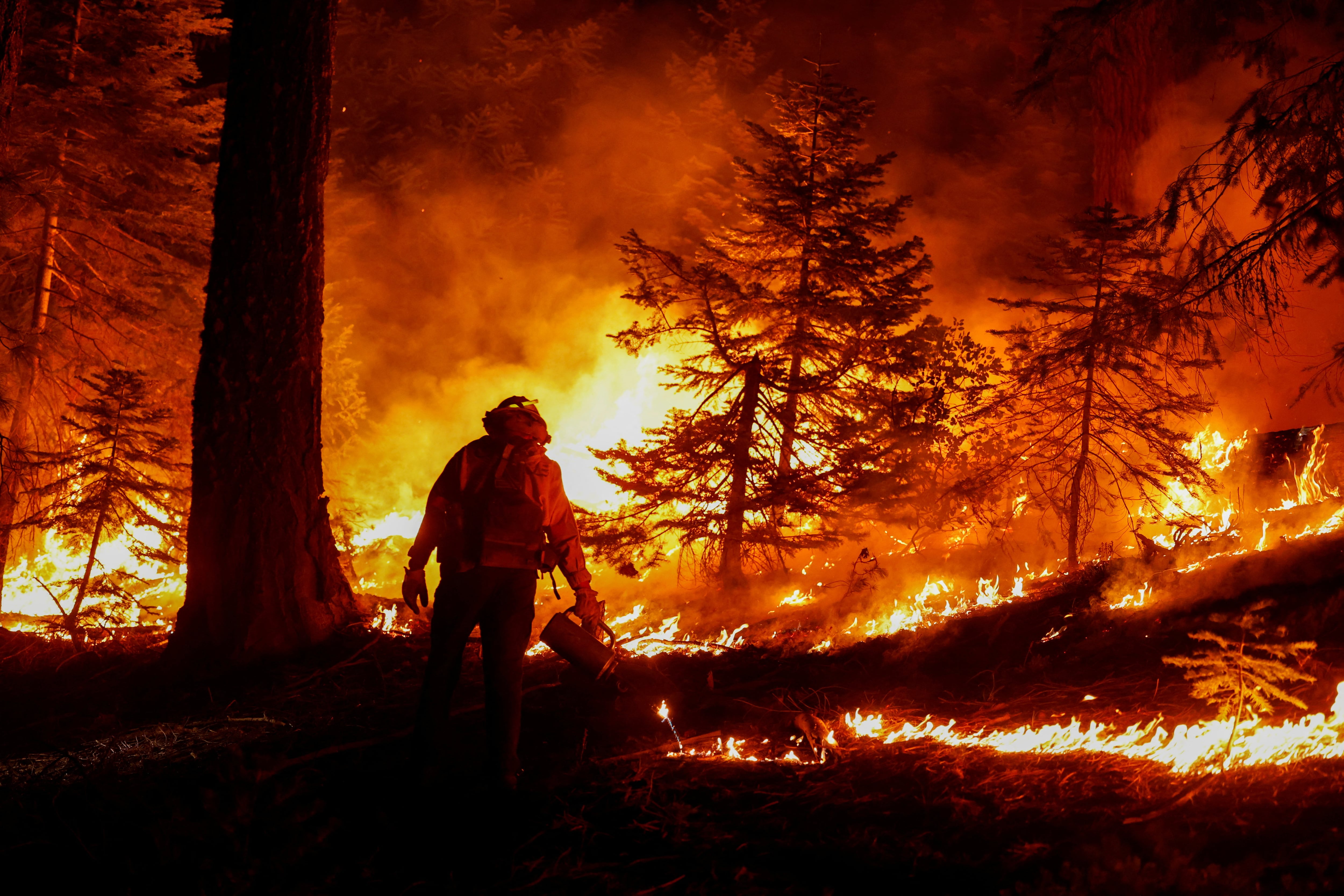 Firefighters manage a controlled burn to reduce the fuels ahead of the Park Fire near Mineral