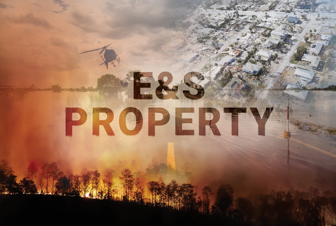 E&S property