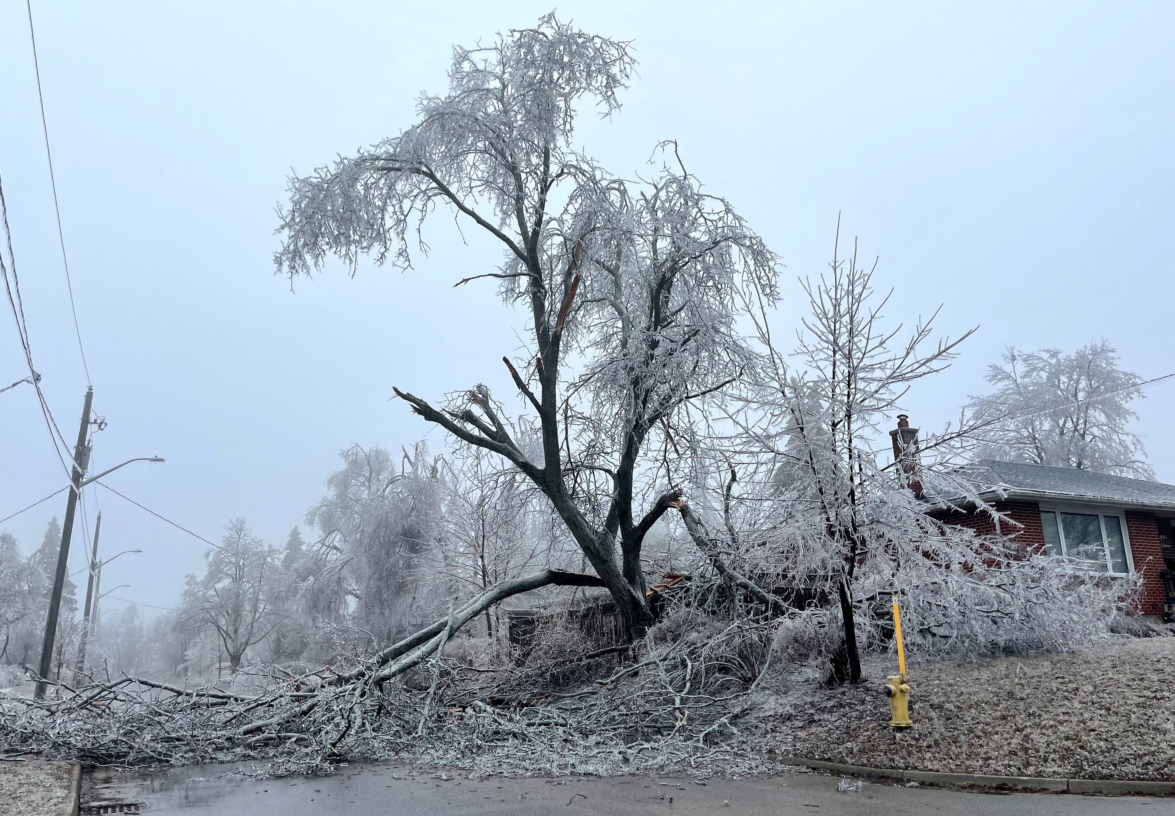 A broken tree limb lies blocking a road after an ice storm in Barrie
