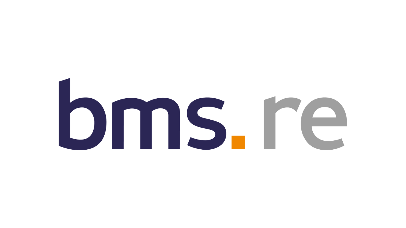 Image of BMS Re logo